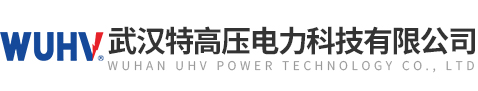武漢特高壓電力科技有限公司